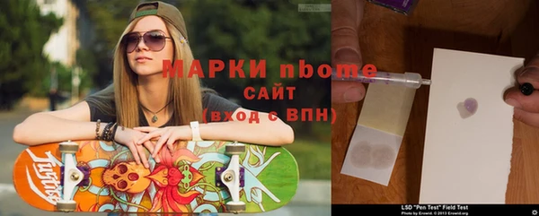 гашик Аркадак