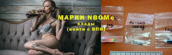 гашик Аркадак