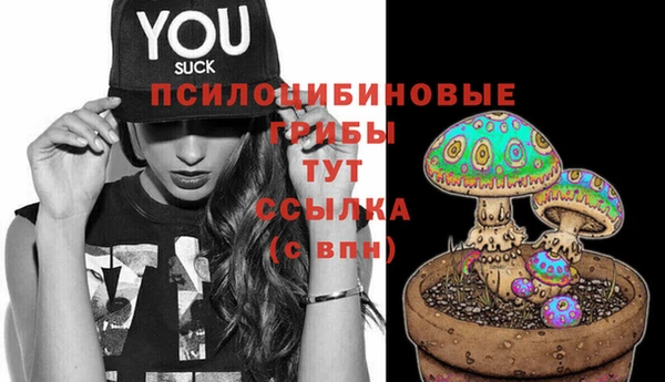 гашик Аркадак