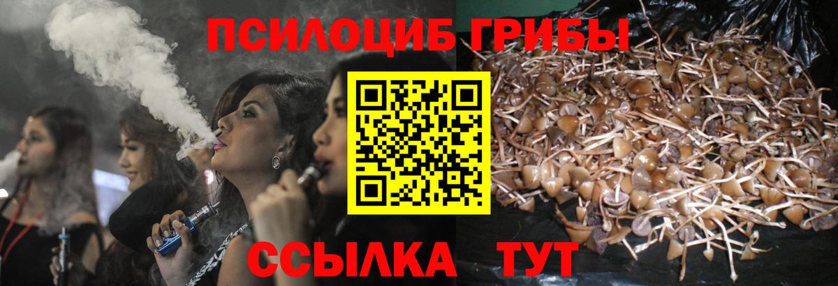 Аша  Галлюциногенные грибы прущие грибы  Вход с VPN  где продают наркотики  Галлюциногенные грибы Psilocybine cubensis 